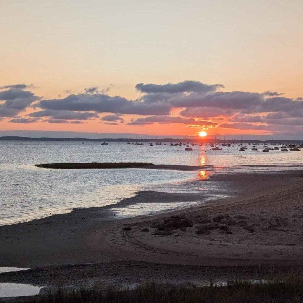 bassin arcachon andernos lanton locale